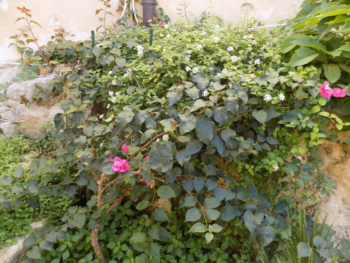 Garden&House Amore Vero Modica Exterior photo