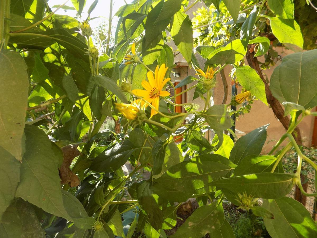 Garden&House Amore Vero Modica Exterior photo